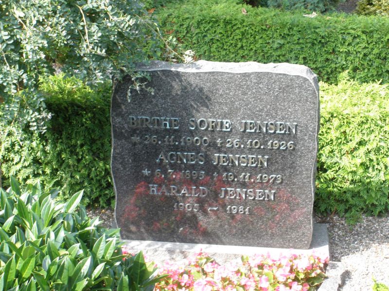 Harald Jensen.JPG